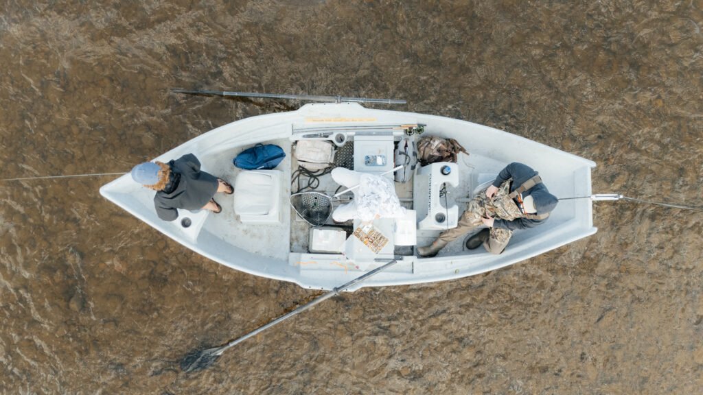 Bozeman Fly Fishing Guide